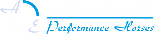 Logo von Alexander Eck Performance Horses mit stilisierten Buchstaben A und E in Blau und Schwarz.
