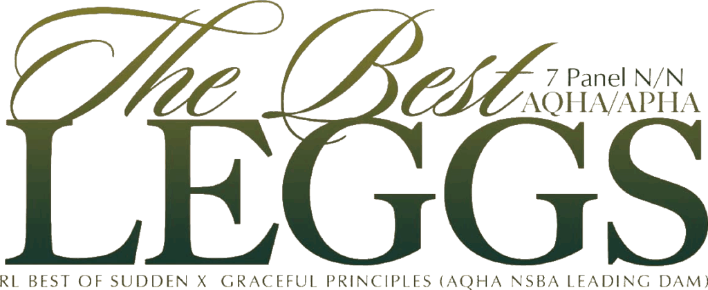 Grafik mit dem Titel 'The Best Leggs', die Informationen zu einem Pferd enthält, einschließlich Zucht und Abstammung.