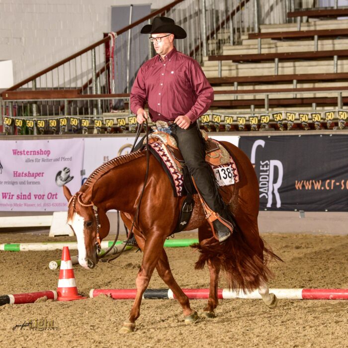 Reiter in karierterbraunem Hemd und Cowboyhut sitzt auf braunem Pferd mit weißem Abzeichen, Arena mit Hindernissen, Banner und Tribünen im Hintergrund