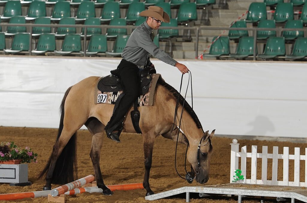 Beiges Pferd mit Reiter in grauem Hemd und braunem Cowboyhut, Reiter führt das Tier durch eine Hindernisbahn in einer Reithalle mit grünen Sitzreihen