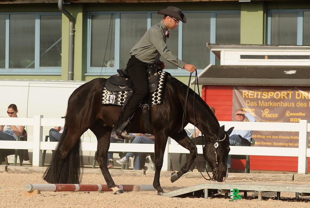Schwarzes Pferd mit Reiter in grauem Hemd und Cowboyhut balanciert über eine Hindernisstange, Zaun, Bannerwerbung und Zuschauer im Hintergrund.